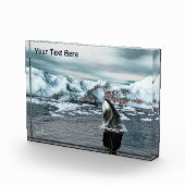 Bowhead Whale Fotoblock (Rechts)