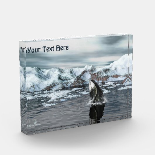 Bowhead Whale Fotoblock (Links)