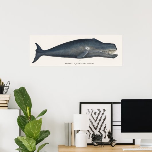 Bowhead Whale Lithograph Poster (Heimbüro)