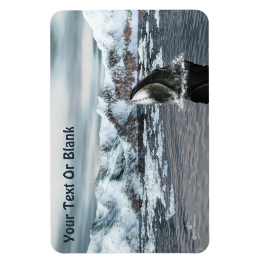 Bowhead Whale Magnet (Vertikal)