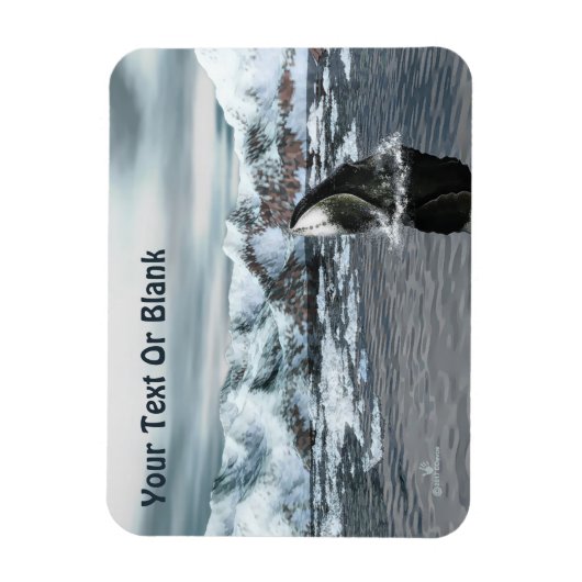 Bowhead Whale Magnet (Vertikal)