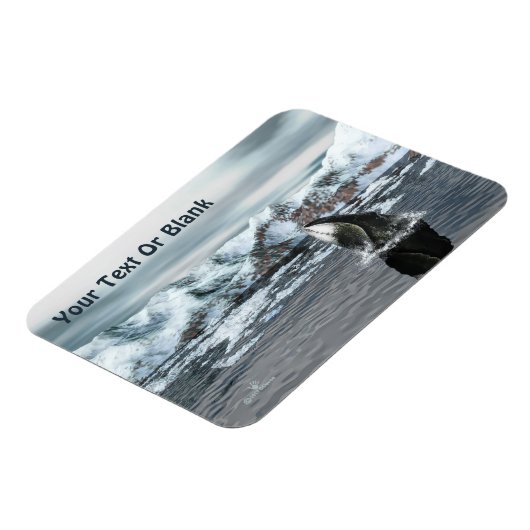 Bowhead Whale Magnet (Linke Seite)