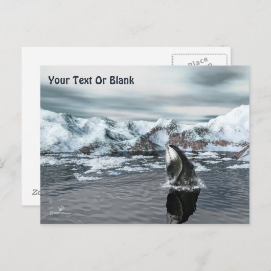 Bowhead Whale Postkarte (Vorne/Hinten)