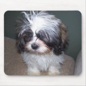 Bowie der flockige Welpe 2 Mousepad Shih Tzu (Vorne)