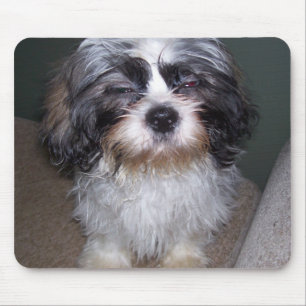 Bowie der flockige Welpe Mousepad Shih Tzu
