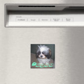Bowie the Fuzzy Shih Tzu Puppy Dog Magnet (In Situ (Geschirrspüler))