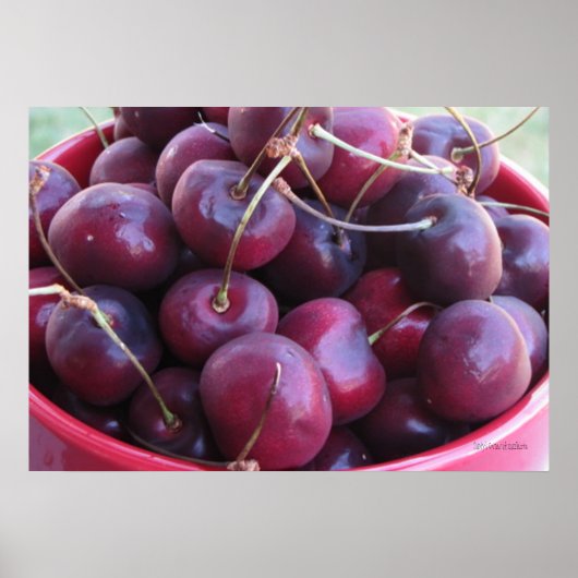Bowl Full of Cherries Poster (Vorne)