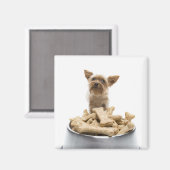 Bowl of dog Leckereien von Yorkshire Terrier Magnet (Vorderseite/Rückseite)
