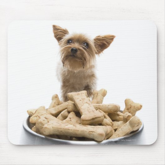 Bowl of dog Leckereien von Yorkshire Terrier Mousepad (Vorne)