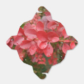 Box "Abnehmen" mit roten Blättern Geschenkschachtel (Ungefaltet)