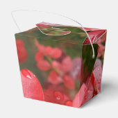 Box "Abnehmen" mit roten Blättern Geschenkschachtel (Rückseite)