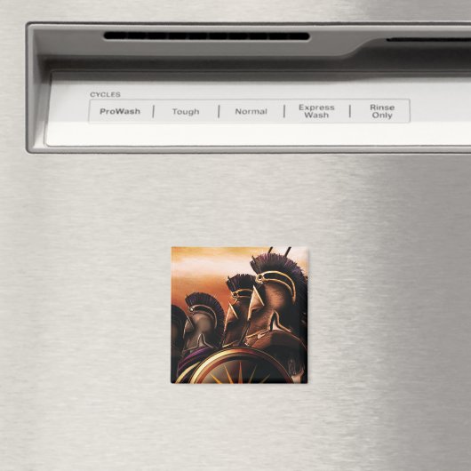 Box Art Magnet (In Situ (Geschirrspüler))