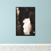 Box Canyon Leinwanddruck (Insitu (Holzboden))