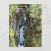 Box Canyon Postcard Postkarte (Vorderseite)