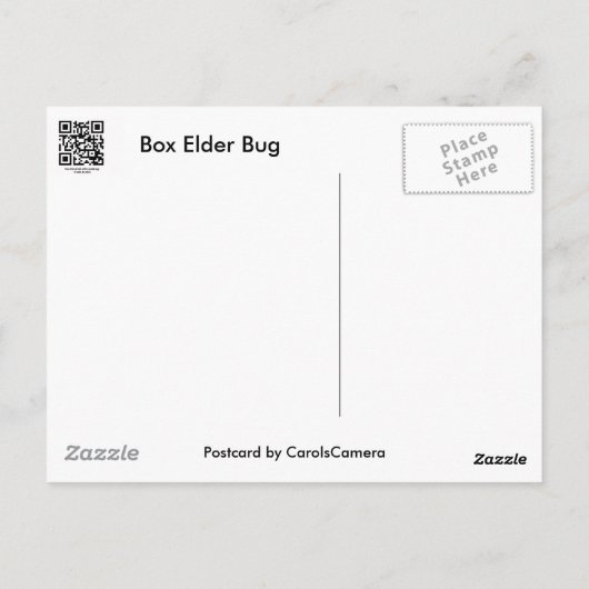 Box Elder Bug Coordinated Items Postkarte (Rückseite)