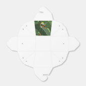 Box "Froggy Forest Favor" Geschenkschachtel (Ungefaltet)