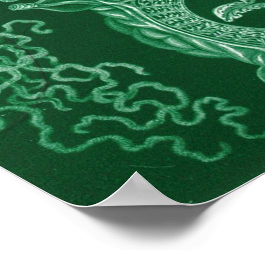 Box Jellyfish Poster (Ecke)