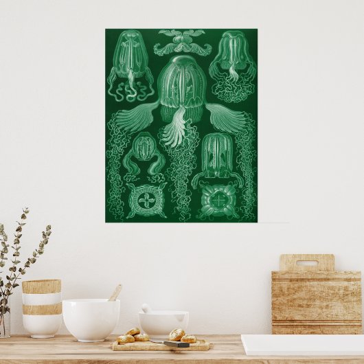 Box Jellyfish Poster (Küche)