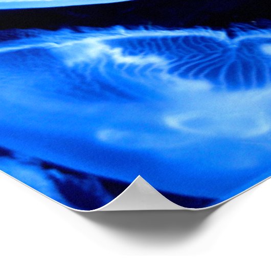 Box Jellyfish Poster (Ecke)