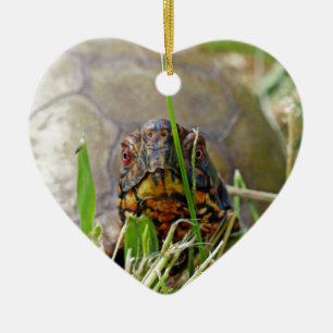 Box-Schildkröte Keramik-Ornament Keramik Ornament