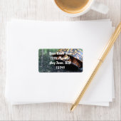 Box Turtle Adressaufkleber (Insitu)