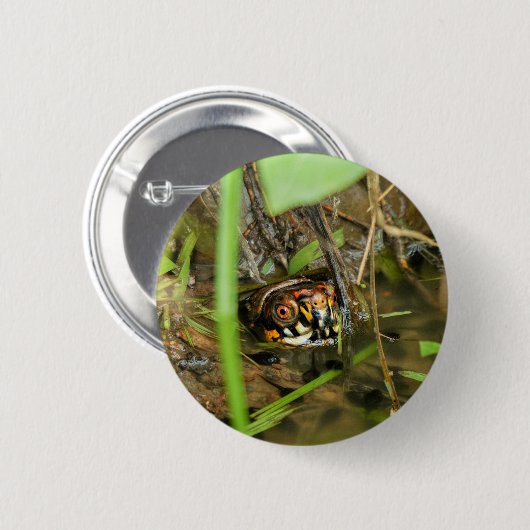 Box Turtle and Tadpoles Button (Vorne & Hinten)