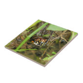 Box Turtle and Tadpoles Fliese (Seite)