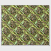 Box Turtle and Tadpoles Geschenkpapier (Flach)