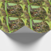 Box Turtle and Tadpoles Geschenkpapier (Ecke)