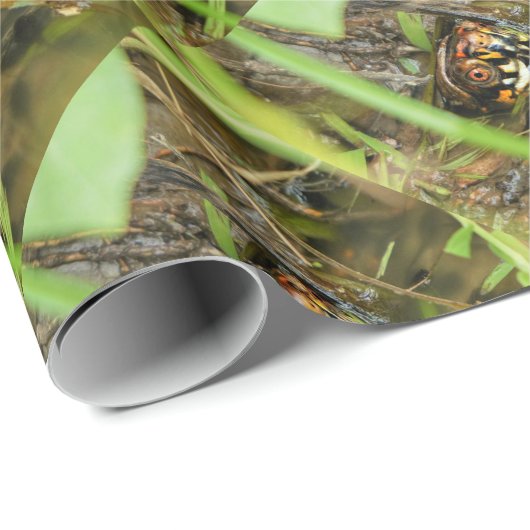 Box Turtle and Tadpoles Geschenkpapier (Rolleneckpunkt)