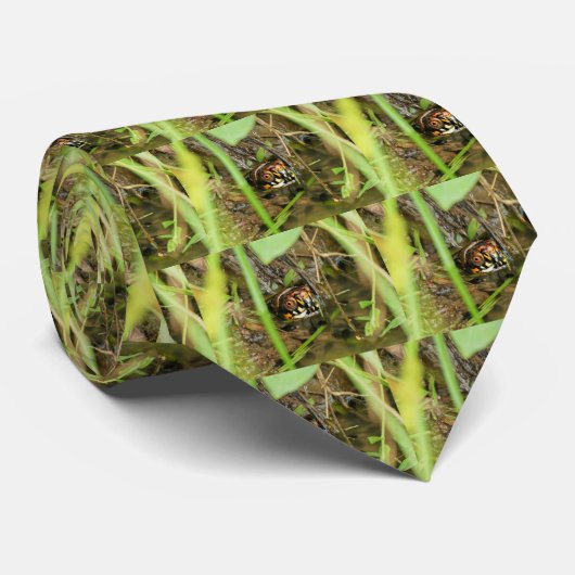 Box Turtle and Tadpoles Krawatte (Gerollt)