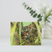 Box Turtle and Tadpoles Postkarte (Stehend Vorderseite)