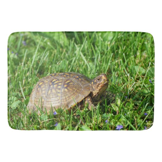 Box Turtle Badematte (Vorderseite)