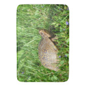 Box Turtle Badematte (Vorderseite Vertikal)