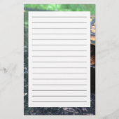 Box Turtle Briefpapier (Vorderseite)