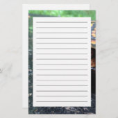 Box Turtle Briefpapier (Vorne/Hinten)