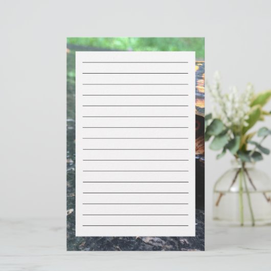 Box Turtle Briefpapier (Stehend Vorderseite)