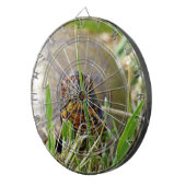 Box Turtle Dartscheibe (Vorderseite rechts)