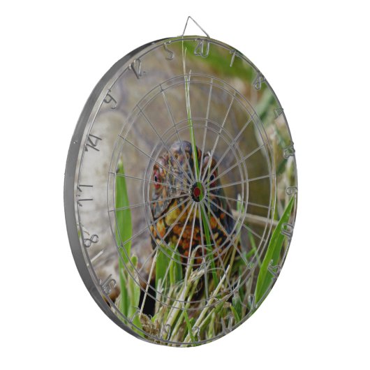 Box Turtle Dartscheibe (Vorderseite Links)