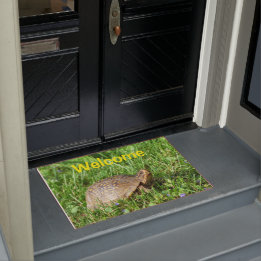 Box Turtle Doormat Fußmatte