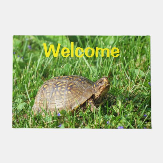 Box Turtle Doormat Fußmatte (Vorderseite)