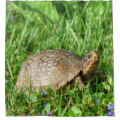 Box Turtle Duschvorhang (Vorderseite)