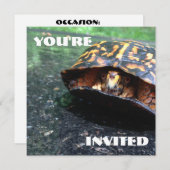 Box Turtle Einladung (Vorne/Hinten)