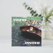 Box Turtle Einladung (Stehend Vorderseite)