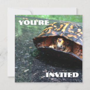 Box Turtle Einladung