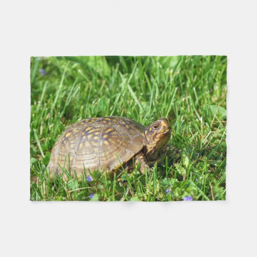 Box Turtle Fleecedecke (Vorderseite (Horizontal))