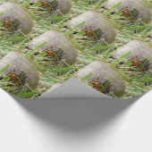 Box Turtle Geschenkpapier (Ecke)