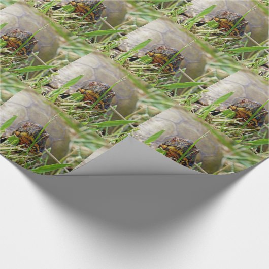 Box Turtle Geschenkpapier (Ecke)