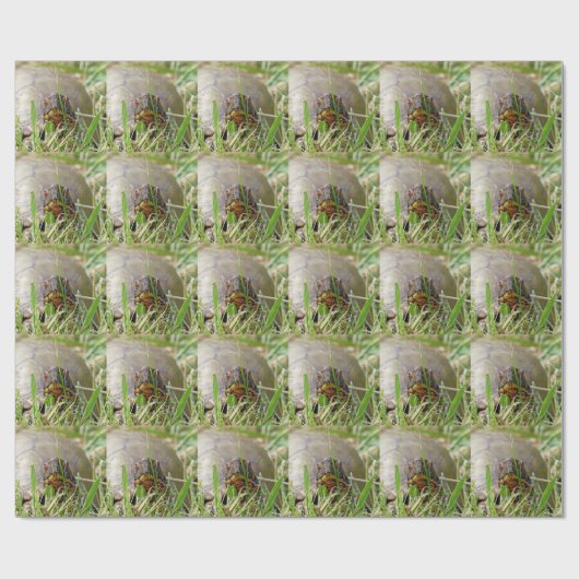 Box Turtle Geschenkpapier (Flach)