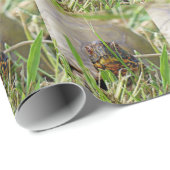Box Turtle Geschenkpapier (Rolleneckpunkt)